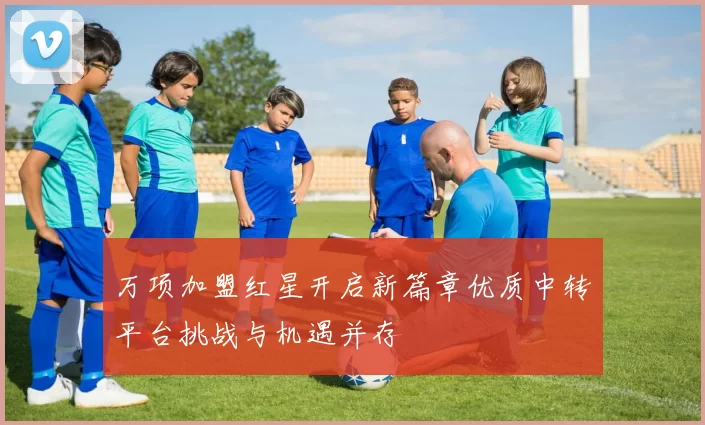 万项加盟红星开启新篇章优质中转平台挑战与机遇并存