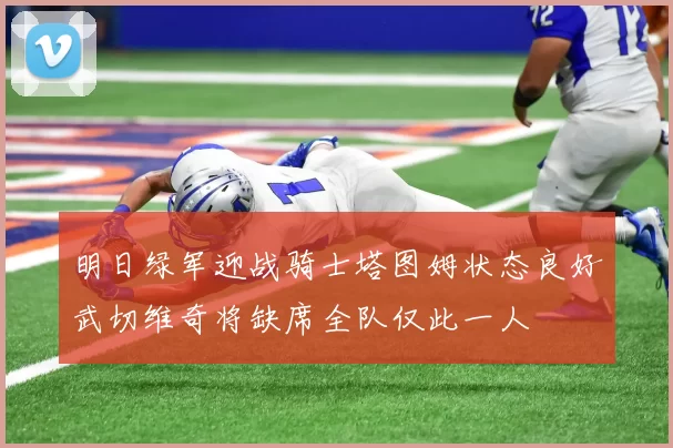 明日绿军迎战骑士塔图姆状态良好武切维奇将缺席全队仅此一人
